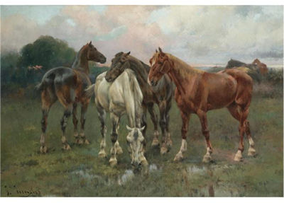 CABALLOS (HORSES)