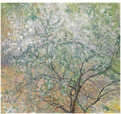 FLOWERING TREE