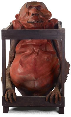 CRATED MONKEY