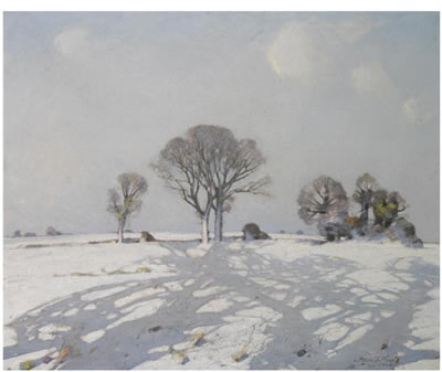 SNOW SHADOWS