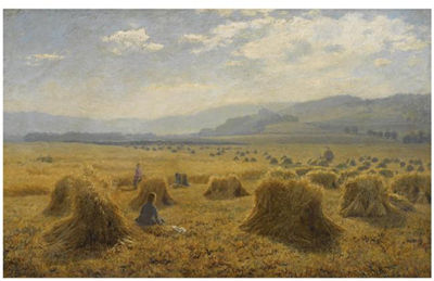 THE HAYMAKERS