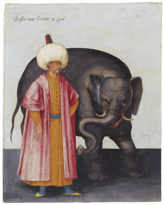 Sample artwork by Jacopo Ligozzi (1547 - 1632), known for flora, fauna, portrait and religious painting, design - View similar artists and auction records