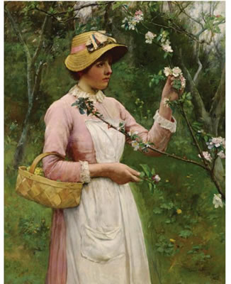 APPLE BLOSSOM