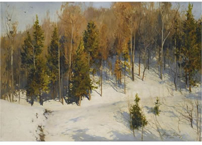 WINTER SUN