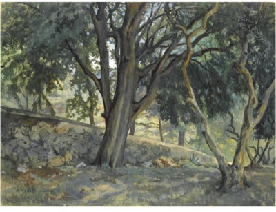 HOLLY OAKS, CASSIS