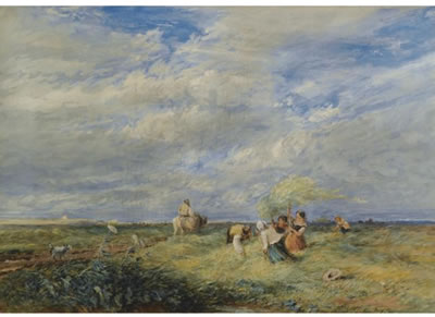 THE HAYFIELD