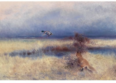 RA¨V JAGANDES AND (FOX CHASING A DUCK)