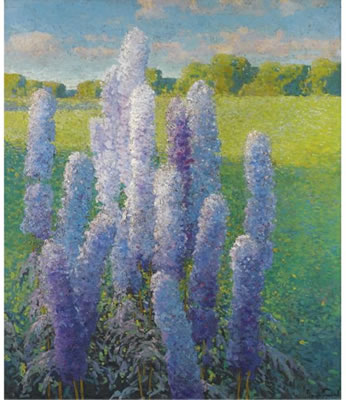 DELPHINIUMS