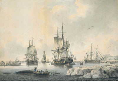 WHALING OFF THE COAST