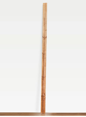 ALBERO DI 5 METRI