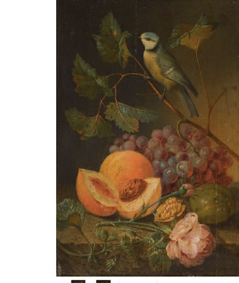 STILL LIFE WITH GRAPES AND APPLES AND A CRESTED TIT; GRAPES AND PEACHES WITH A BLUE TIT