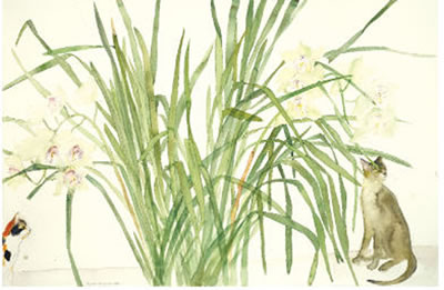 CATS AND ORCHIDS