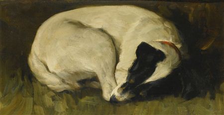 DOG-TIRED