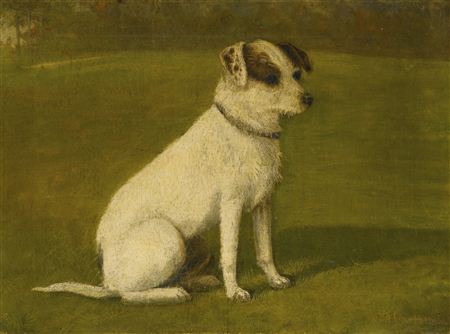TERRIER SITTING ON GRASS