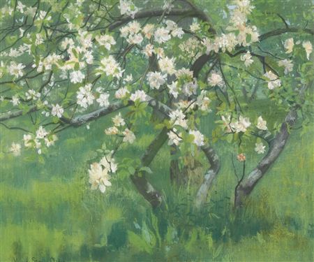 APPLE TREE IN BLOSSOM