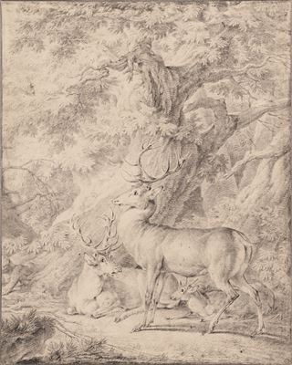 TWO STAGS AND A HIND UNDER LARGE TREES