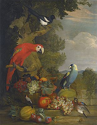 MACAWS, A BLACK-BILLED MAGPIE AND A ROBIN WITH A FRUIT STILL-LIFE