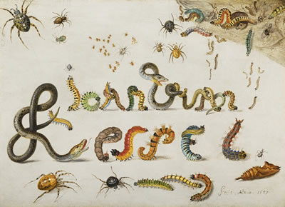 GARDEN AND HOUSE SPIDERS WITH GRASS SNAKES AND CATERPILLARS CONTORTED AND ENTWINED TO SPELL THE ARTIST'S NAME AND A SPRIG OF REDCURRANTS WITH AN ELEPHANT HAWK MOTH, A LADYBIRD, A MILLIPEDE AND OTHER INSECTS (2)