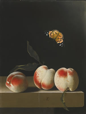 THREE PEACHES ON A STONE LEDGE, WITH A RED ADMIRAL BUTTERFLY
