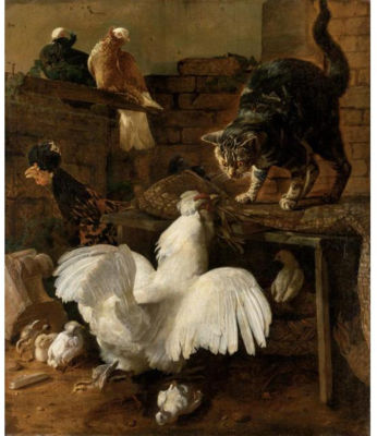 ZUFFA NEL CORTILE TRA GATTO E GALLINA