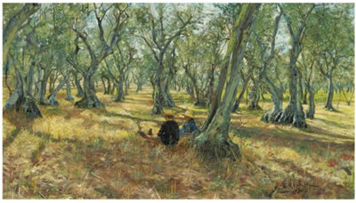 FRA GLI ULIVI