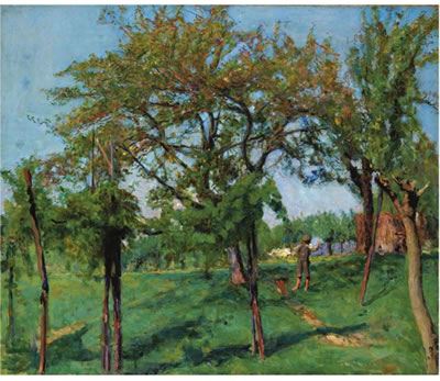 LA RACCOLTA DELLE MELE