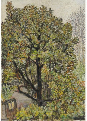 ALBERI