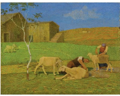 LA TOSATURA