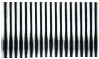BLACK AND WHITE OPTICAL
