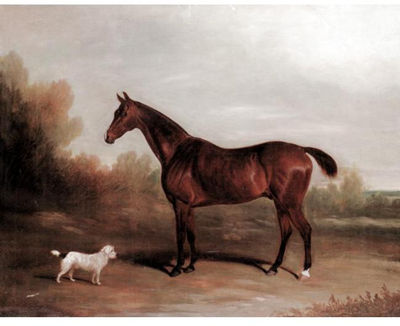 A CHESTNUT HUNTER WITH A TERRIER