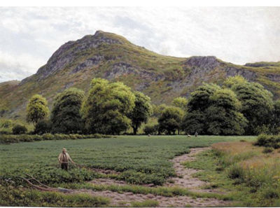PLOUGHING THE FIELD