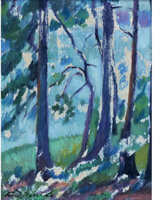 SKETCH OF TREES IN A FOREST