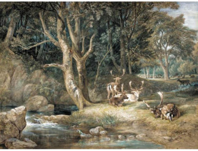 DEER PARK WITH A KINGFISHER by William Andrews Nesfield - Auction record, sale price, and art valuation. Compare with similar artists and explore comparable artworks.