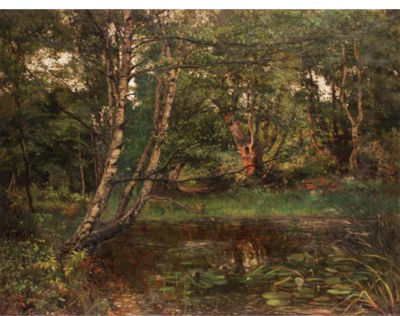 THE HAUNT OF THE KINGFISHER