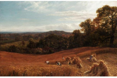 THE HEART OF SURREY