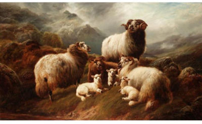 SHEEP IN THE HIGHLANDS