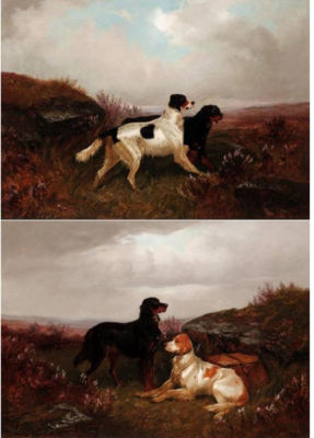 A GORDON AND AN ENGLISH SETTER IN THE SCOTTISH HIGHLANDS (a pair)