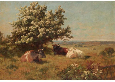 COWS IN A MEADOW