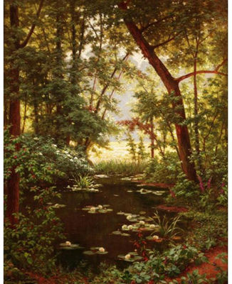LES NÉNUPHARS