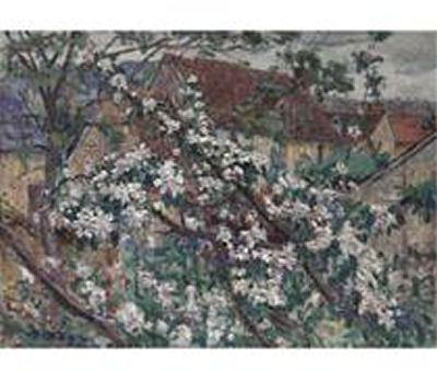APPLE TREES IN BLOSSOM