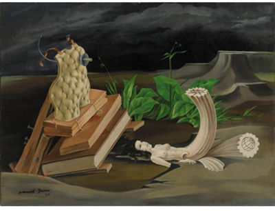 LE SPECTATEUR NOCTURNE