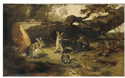 FAMILLE DE LAPINS DANS UN SOUS BOIS