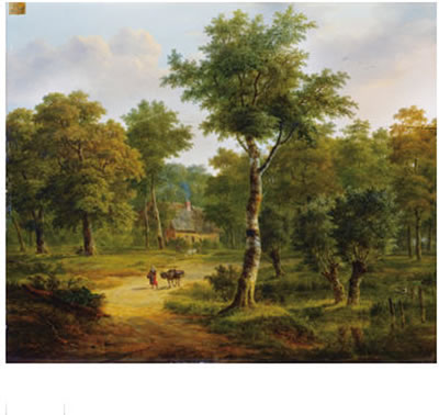INTÉRIEUR DE FORÊT PRÈS DE BRUXELLES