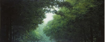 Condition-light by SungWook Do - Auction record, sale price, and art valuation. Compare with similar artists and explore comparable artworks.