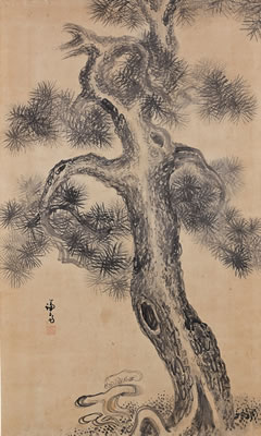 Pine Tree & Mushrooms