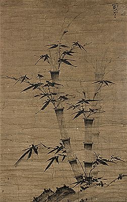 Bamboo