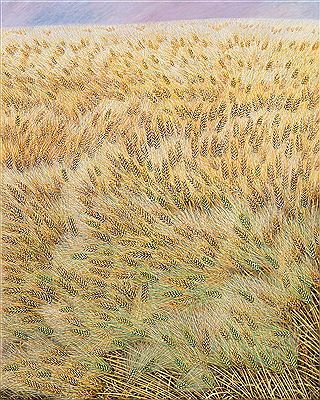 The Yellow Barley Field by Sook-Ja Lee - Auction record, sale price, and art valuation. Compare with similar artists and explore comparable artworks.