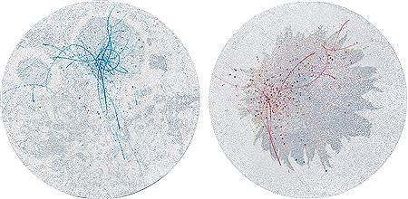 Invisible Space-S070715, S070713 (2 works) by Kangwook Lee - Auction record, sale price, and art valuation. Compare with similar artists and explore comparable artworks.