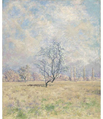 THREE APPLE TREES IN THE SPRING