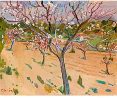 Blossoming Olive Trees